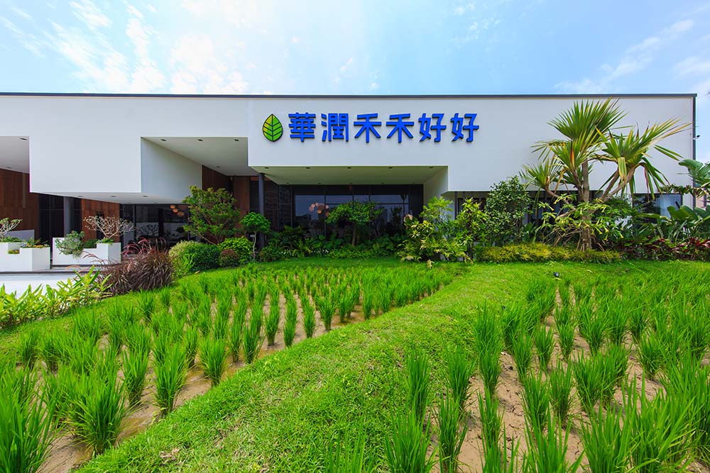 2019-新潤新店-禾禾好好-3