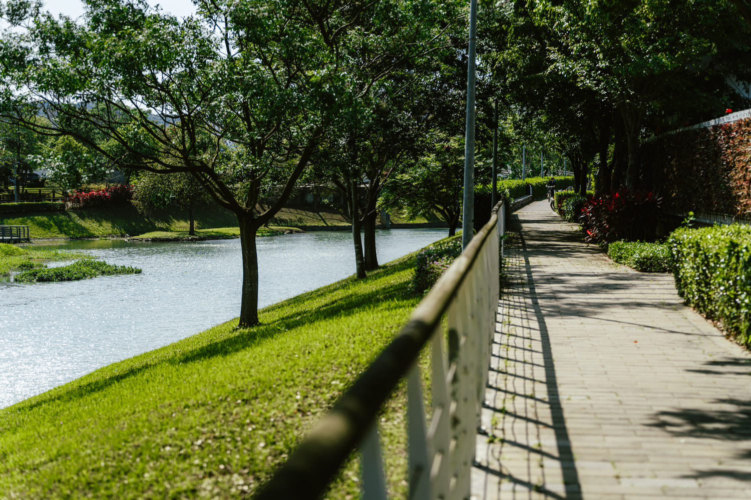 洲美蜆仔港公園 (8)